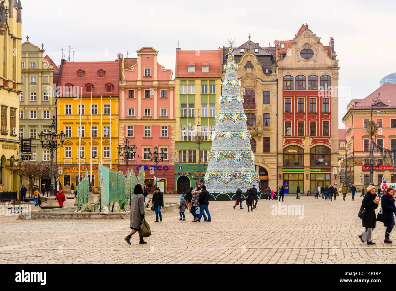 Christmas tree in the town square of Wrocław, Wroclaw, Wroklaw, Poland Stock Photo