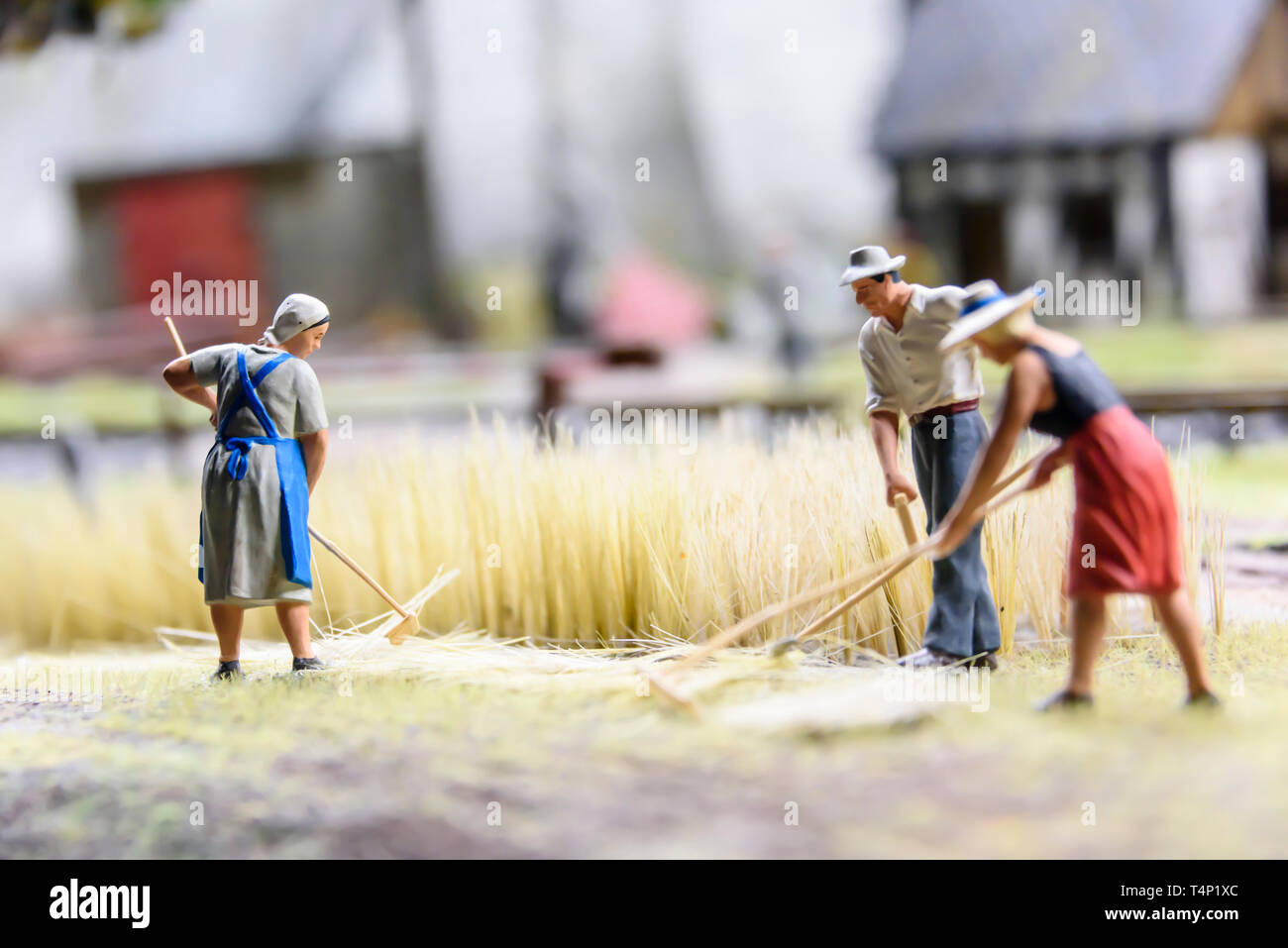 Miniature model of farmers harvesting wheat, at Kolejkowo, Wrocław, Wroclaw, Wroklaw, Poland Stock Photo