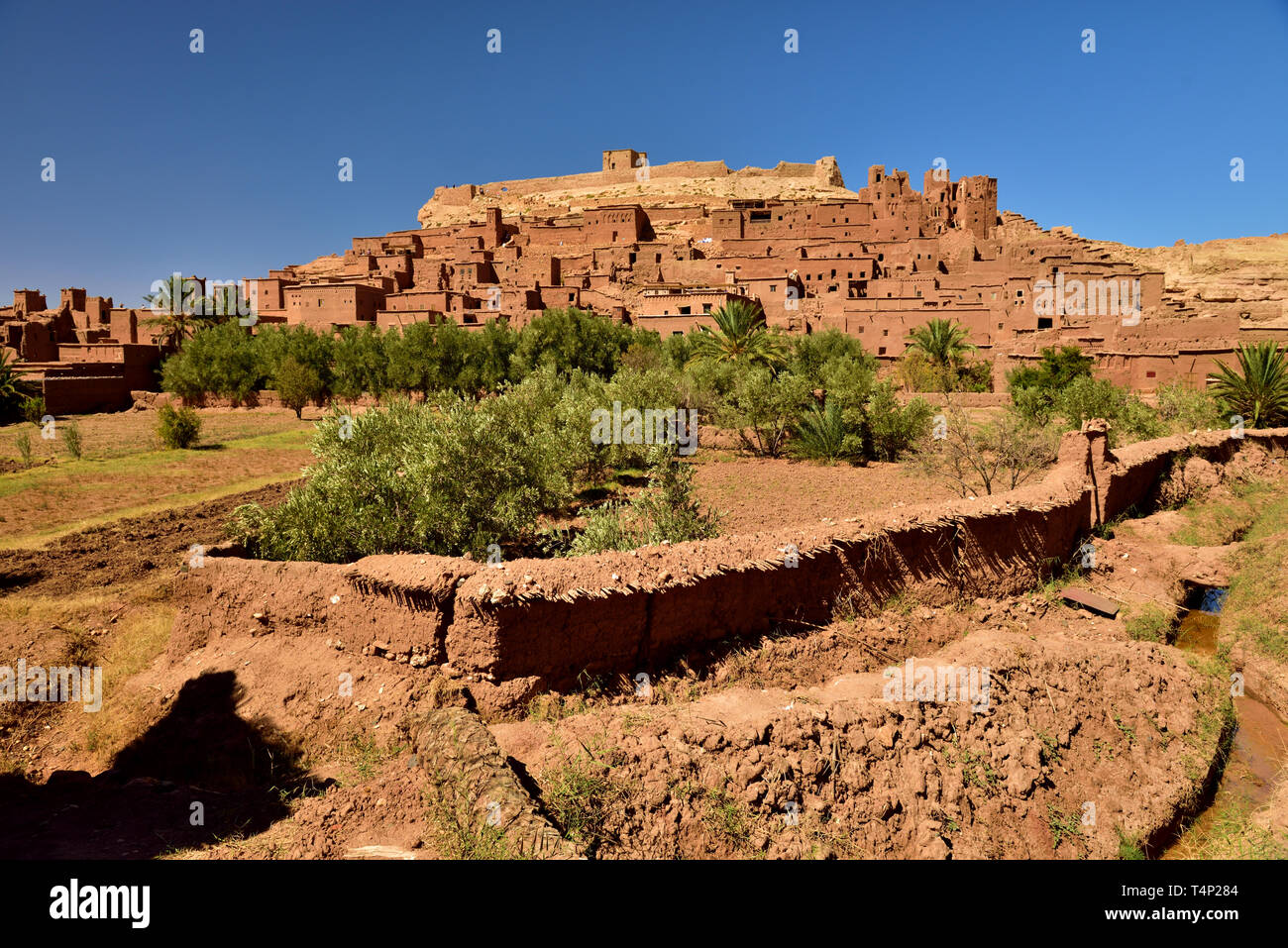 The Ksar is an essentially collective group of housing. Inside the defensive walls reinforced by corner towers and pierced by a baffle gate houses reg Stock Photo