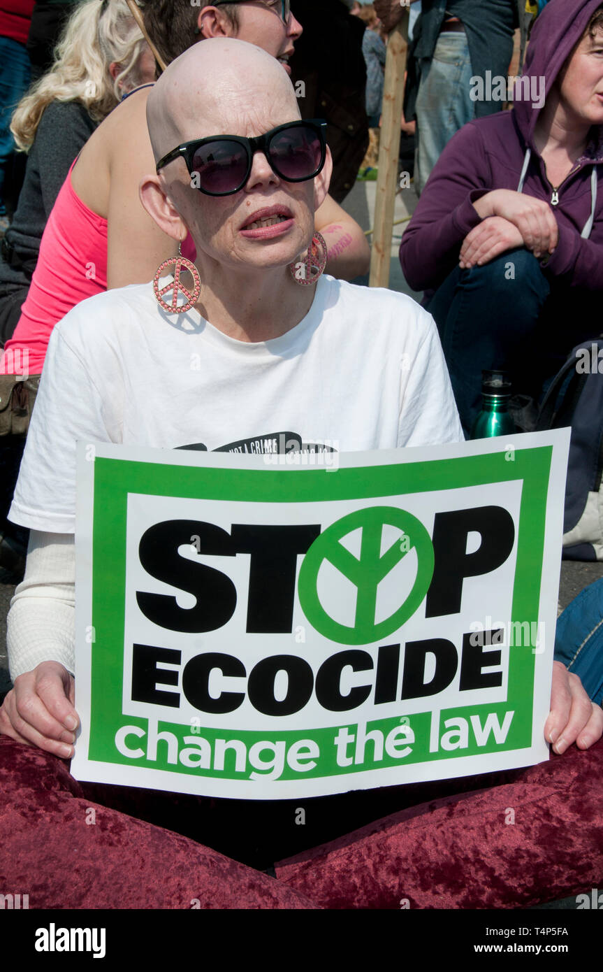Extinction Rebellion protest, London. April 17th 2019. Waterloo Bridge. Protester with sign saying 'Stop ecocide'. Stock Photo