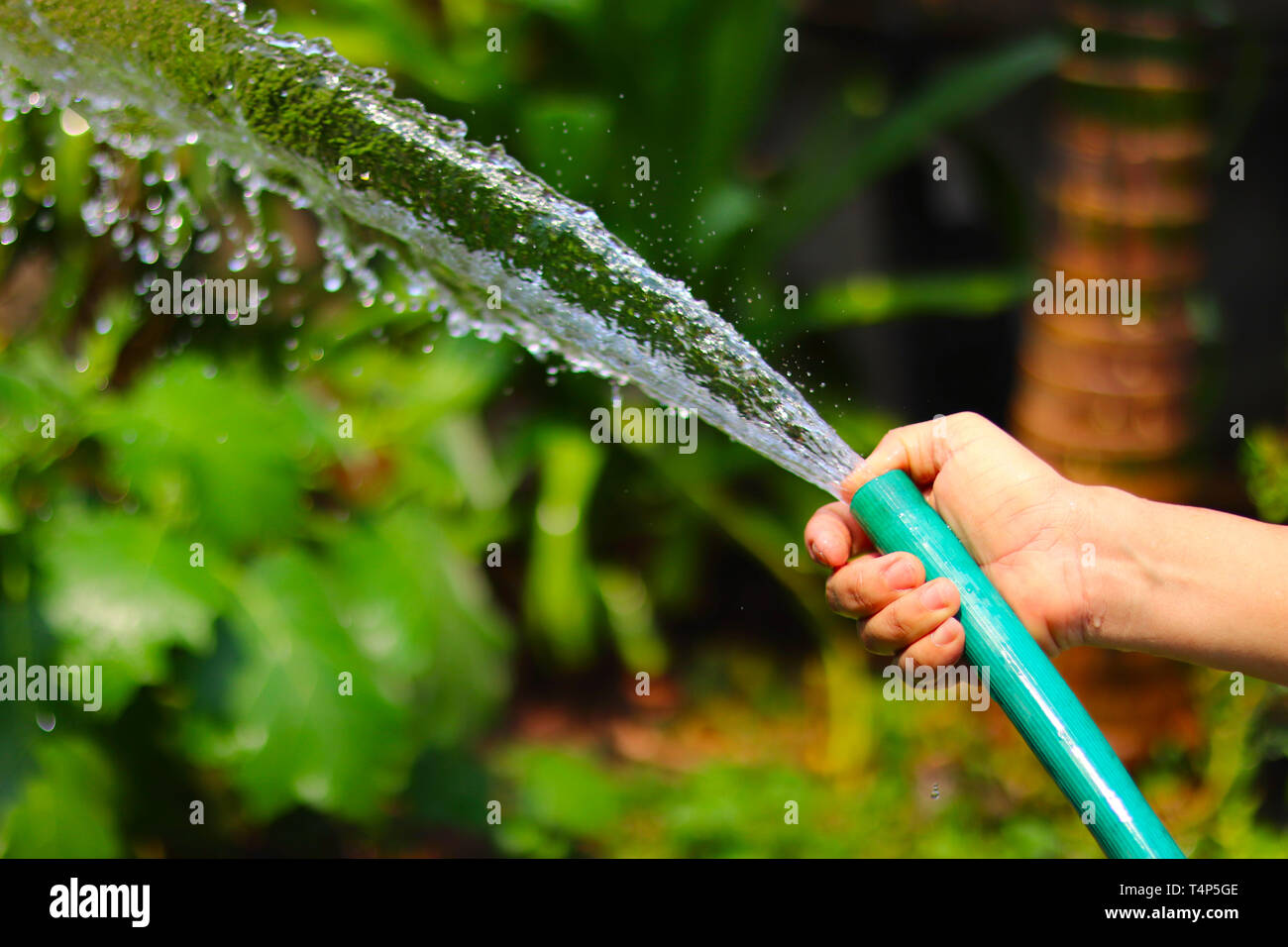 green hose