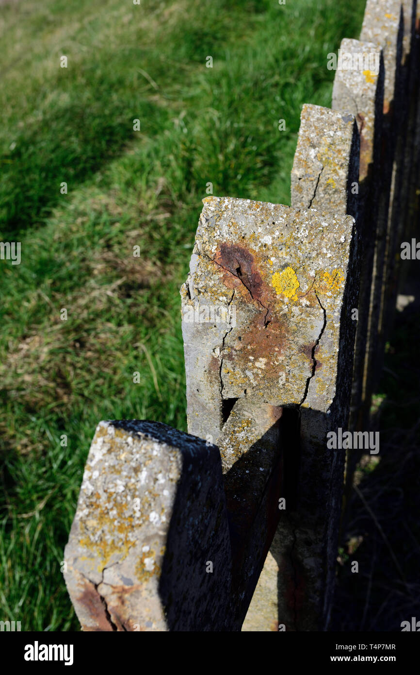Concrete fence post with concrete spalling in Blackpool lancashire uk ...
