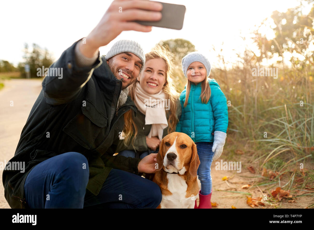 beagle as family pet