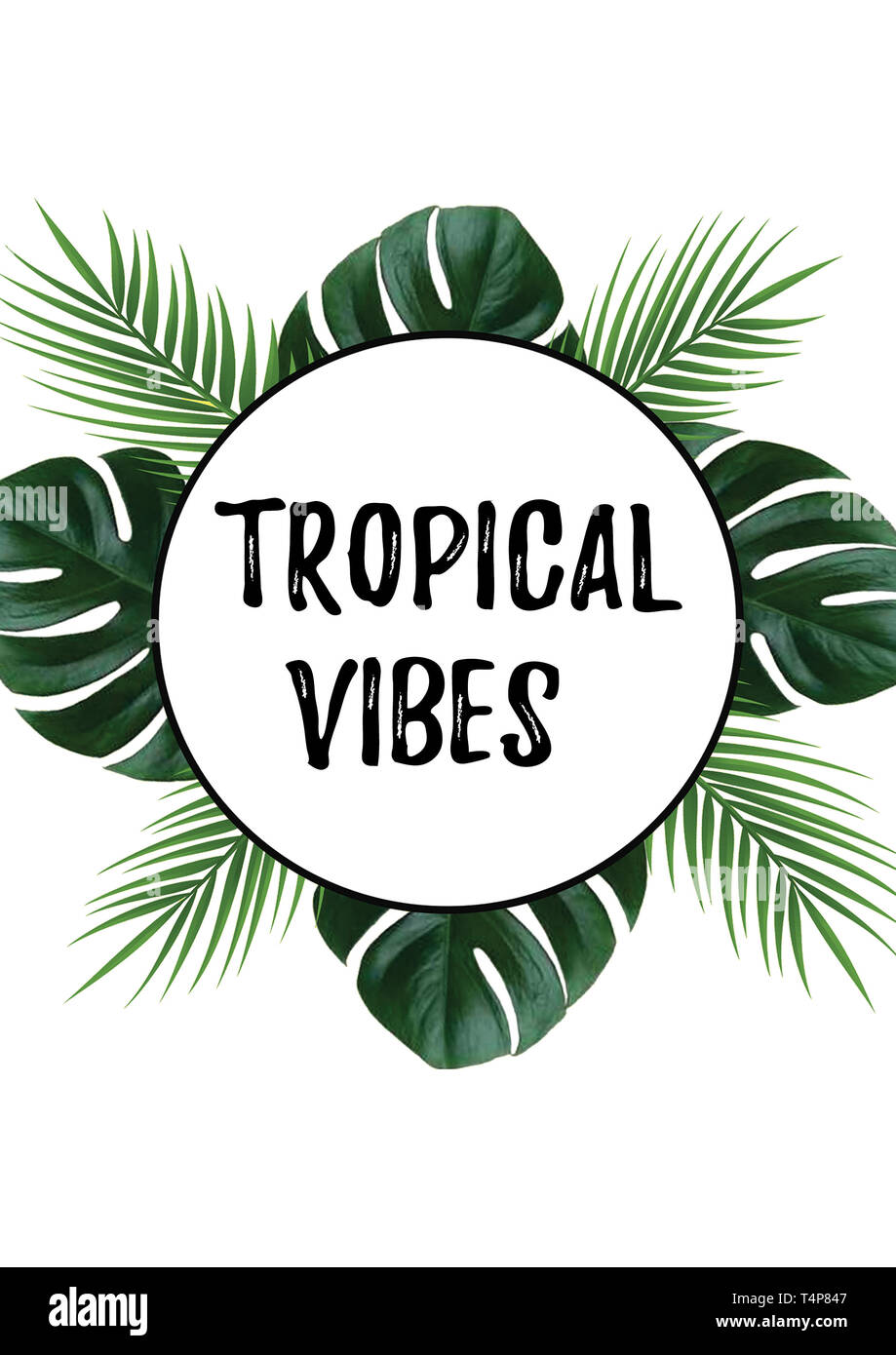Tropical vibes with monstera plants border. Vacation quotes. Beach holidays. Stock Photo