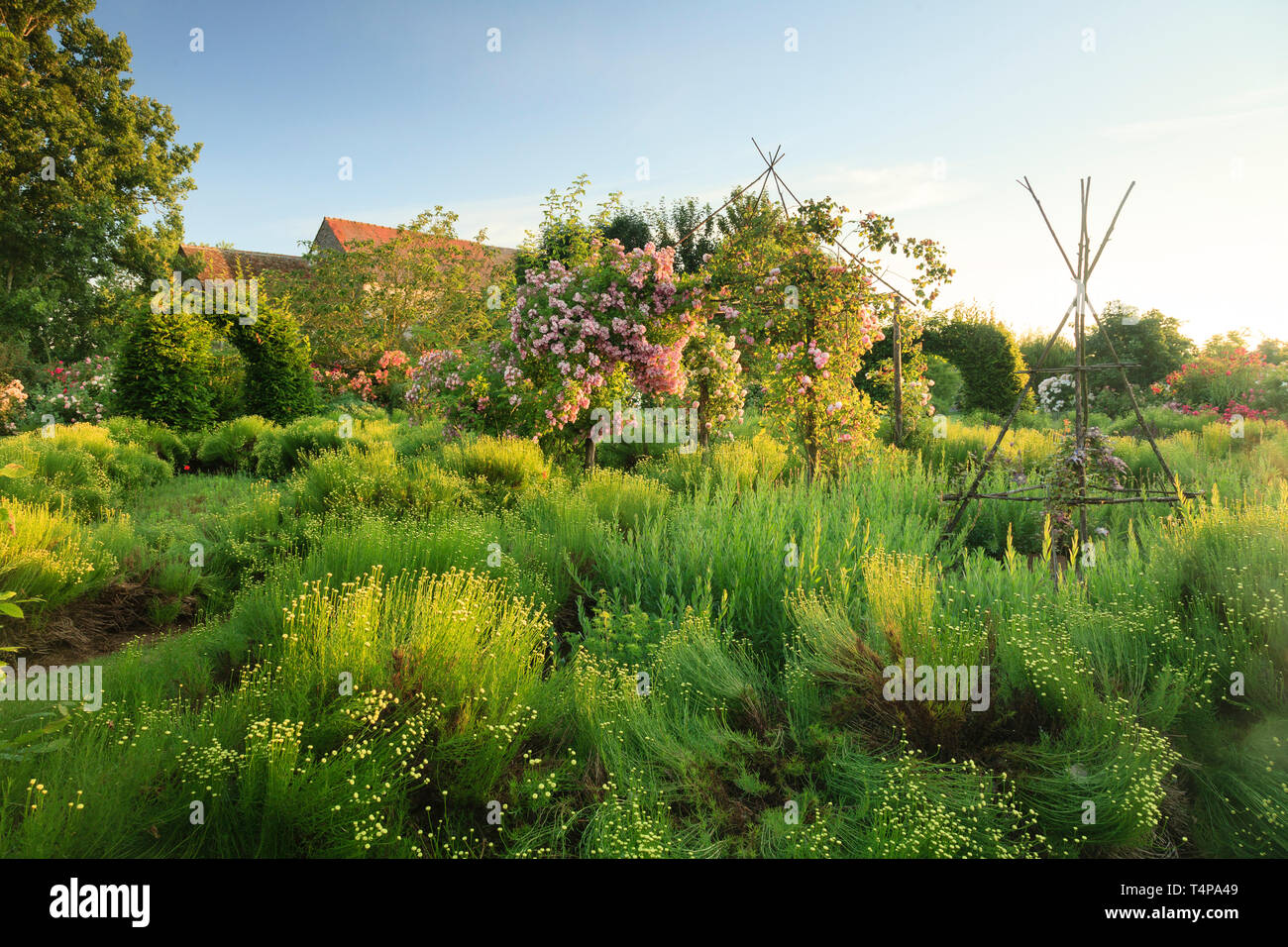 Roquelin’s gardens, Les jardins de Roquelin, France : green Santolina flowerbed (Santolina rosmarinifolia) with in the center a wooden gloriette and t Stock Photo
