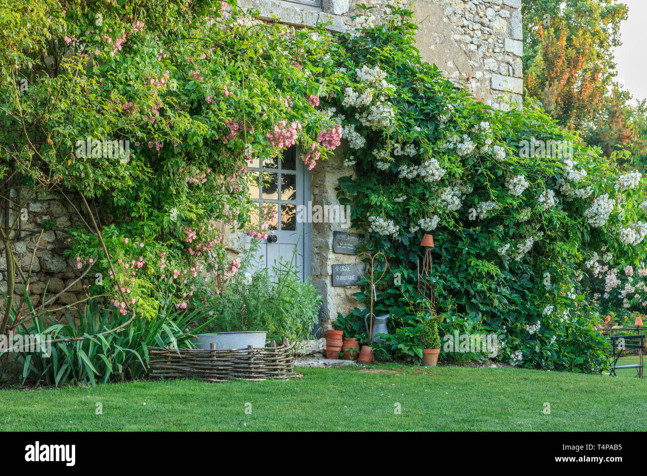 Roquelin’s gardens, Les jardins de Roquelin, France : garden welcome and shop entrance with climbing roses (Rosa) (obligatory mention of the garden na Stock Photo