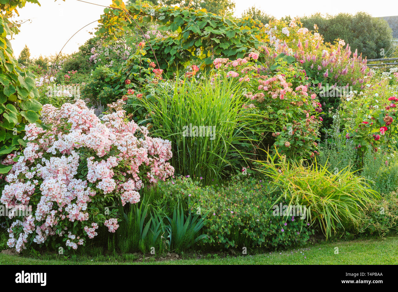 Roquelin’s gardens, Les jardins de Roquelin, France : flowerbed with perennial plants (obligatory mention of the garden name and editorial only) Stock Photo