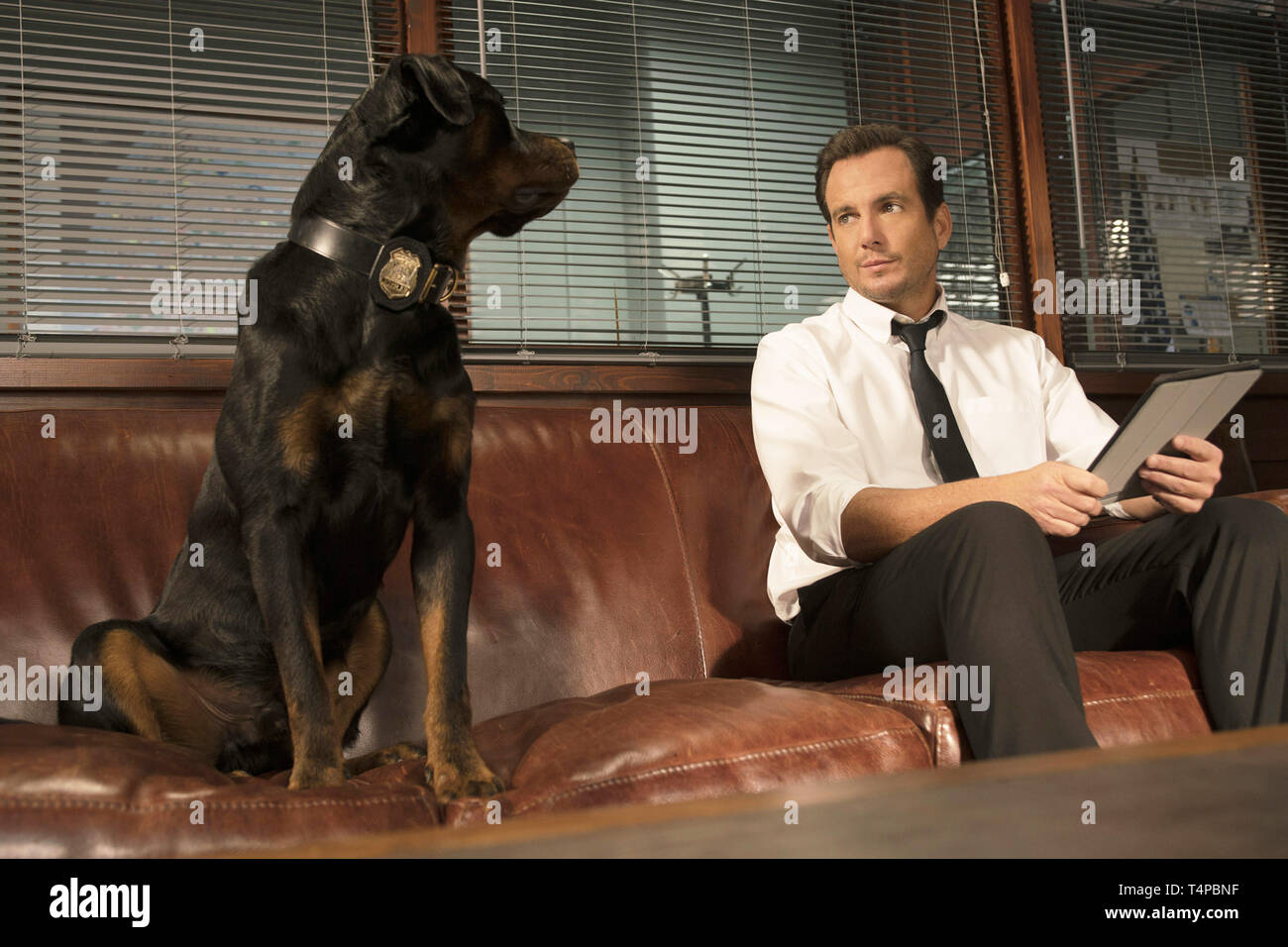 Max The Rottweiler Rottweiler In Movies