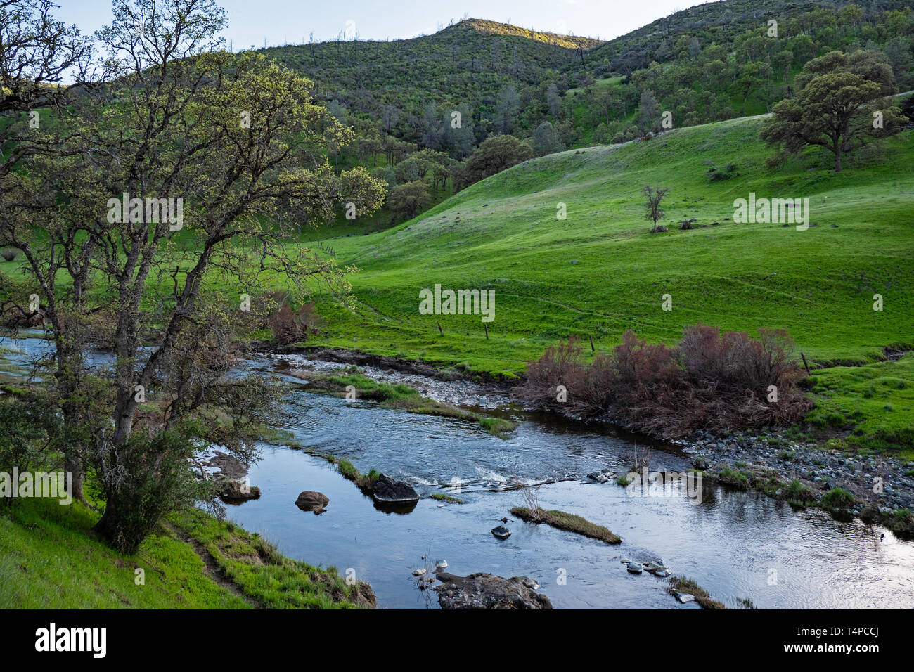 Bear Creek, Colusa County, California Stock Photo