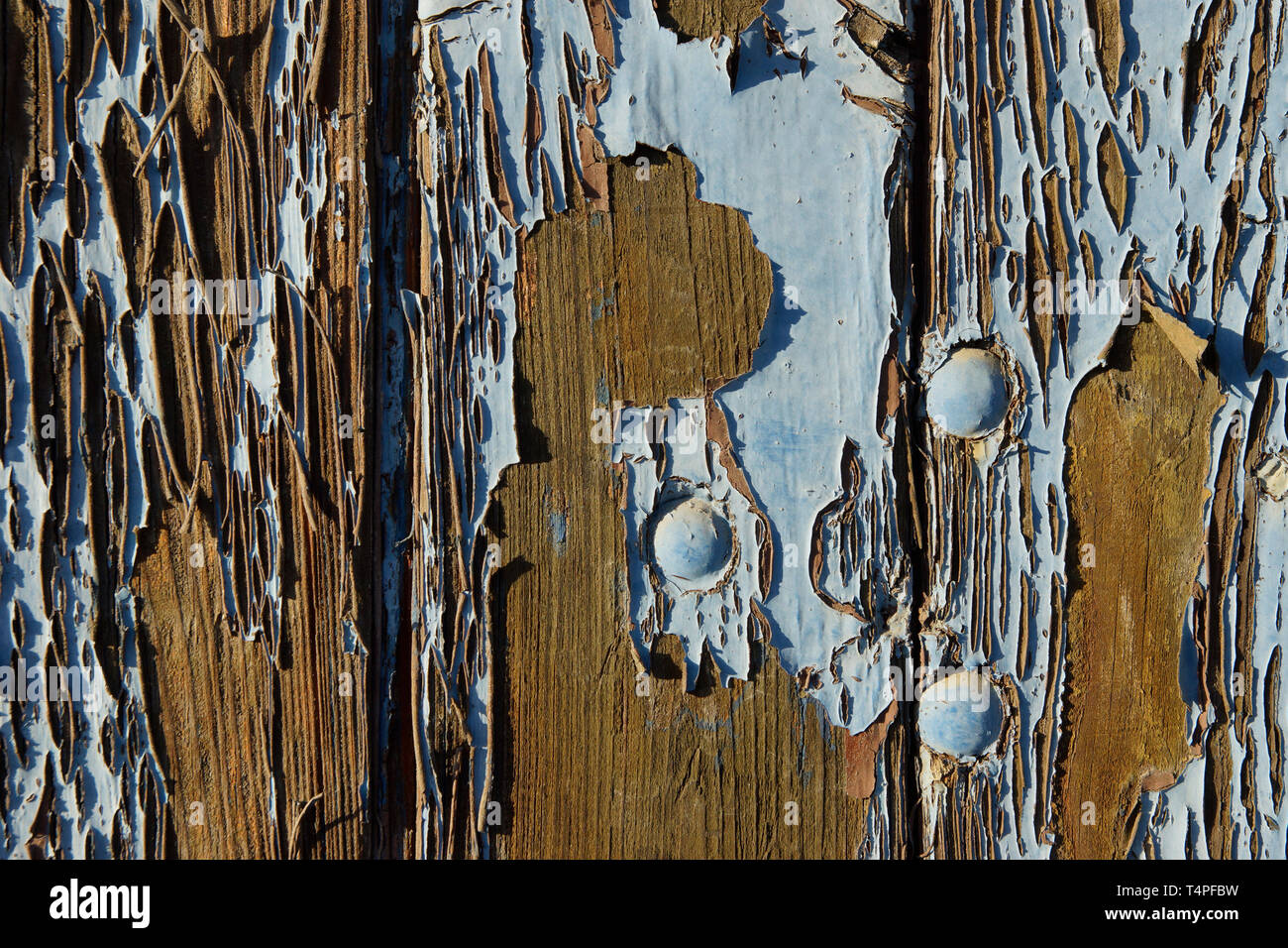 peeling paint on a wooden gate Stock Photo