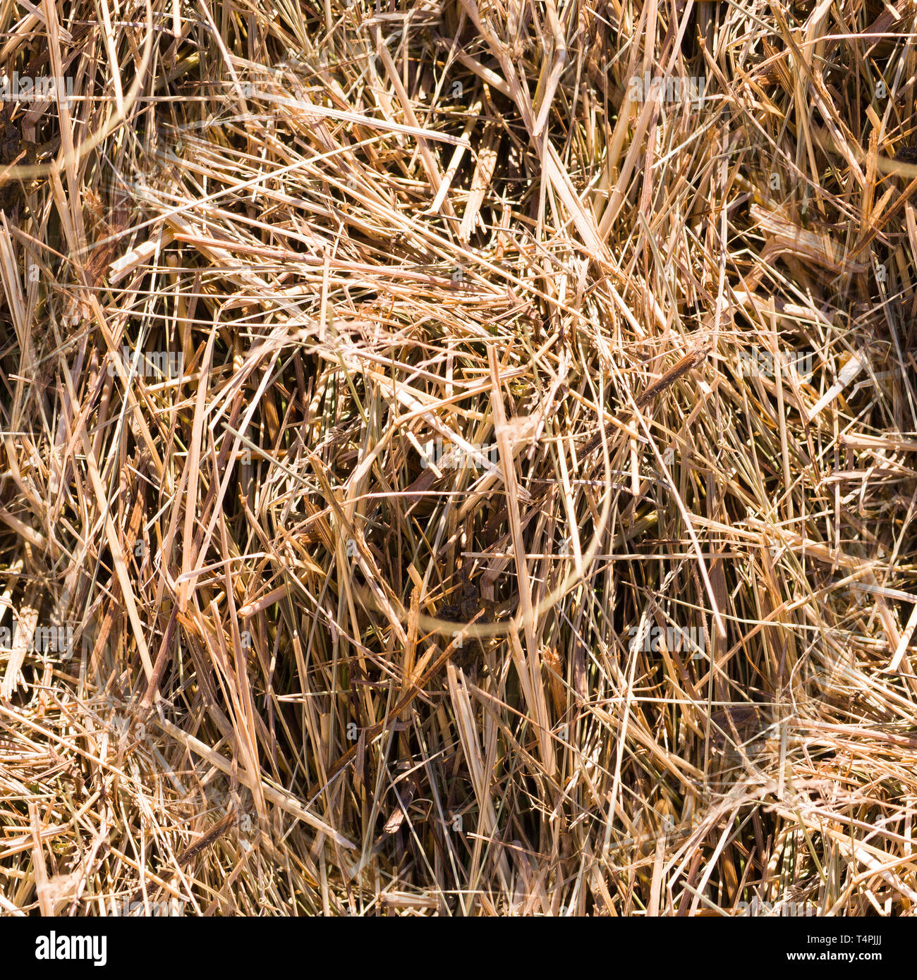 Straw Texture Wallpaper Background Hi Res Stock Photography And Images