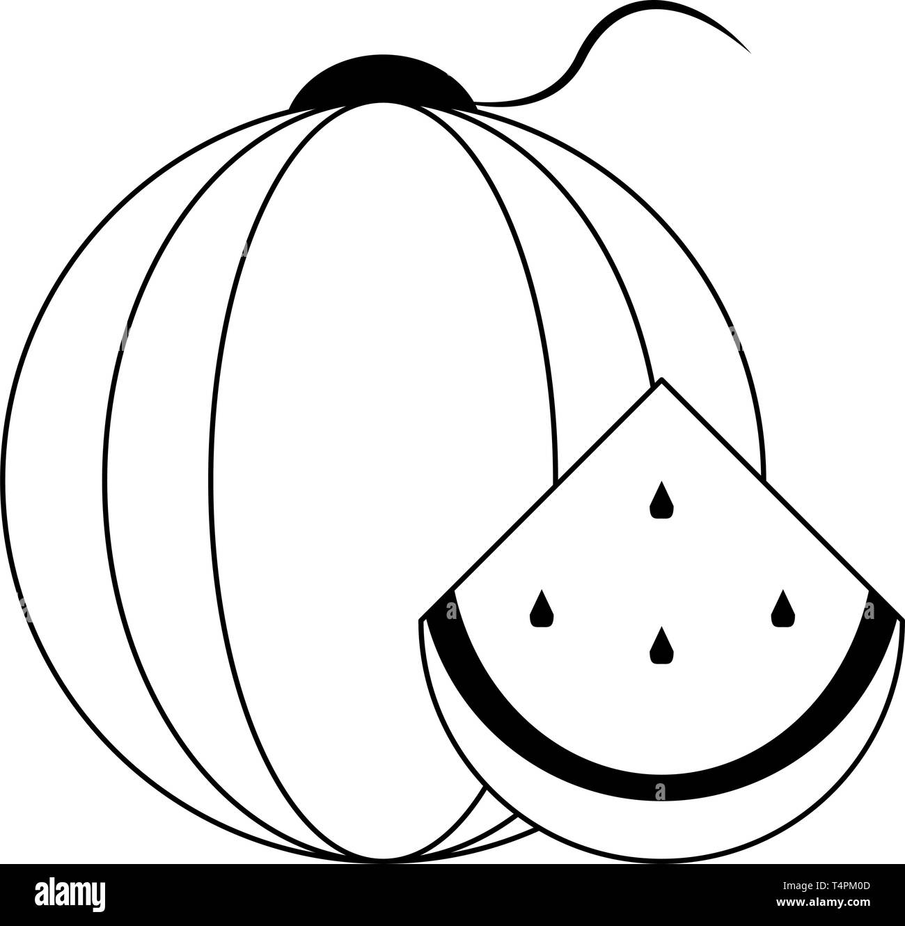 Watermelon fruit isolated black and white Stock Vector Image & Art - Alamy