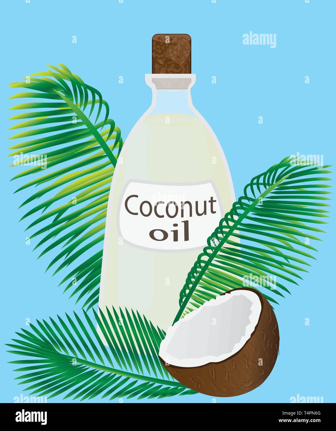 Coconut oil in a jar coconuts and palm leaves as decoration vector illustration Stock Vector