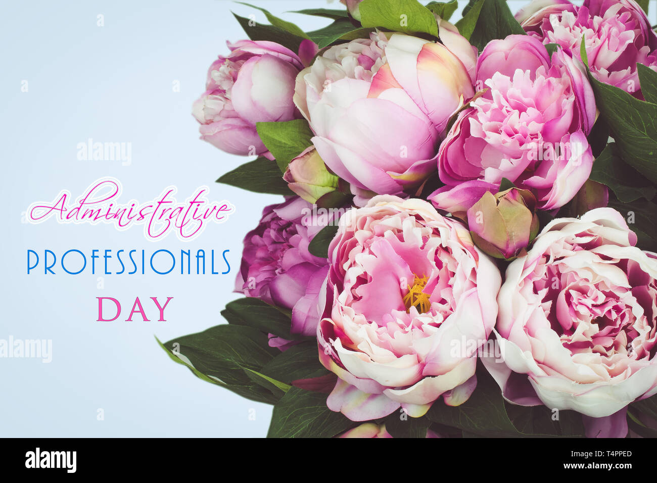 Administrative Professionals Day peony bouquet greeting card Stock Photo - Alamy administrative-professionals-day-peony-bouquet-greeting-card-stock-photo-alamy