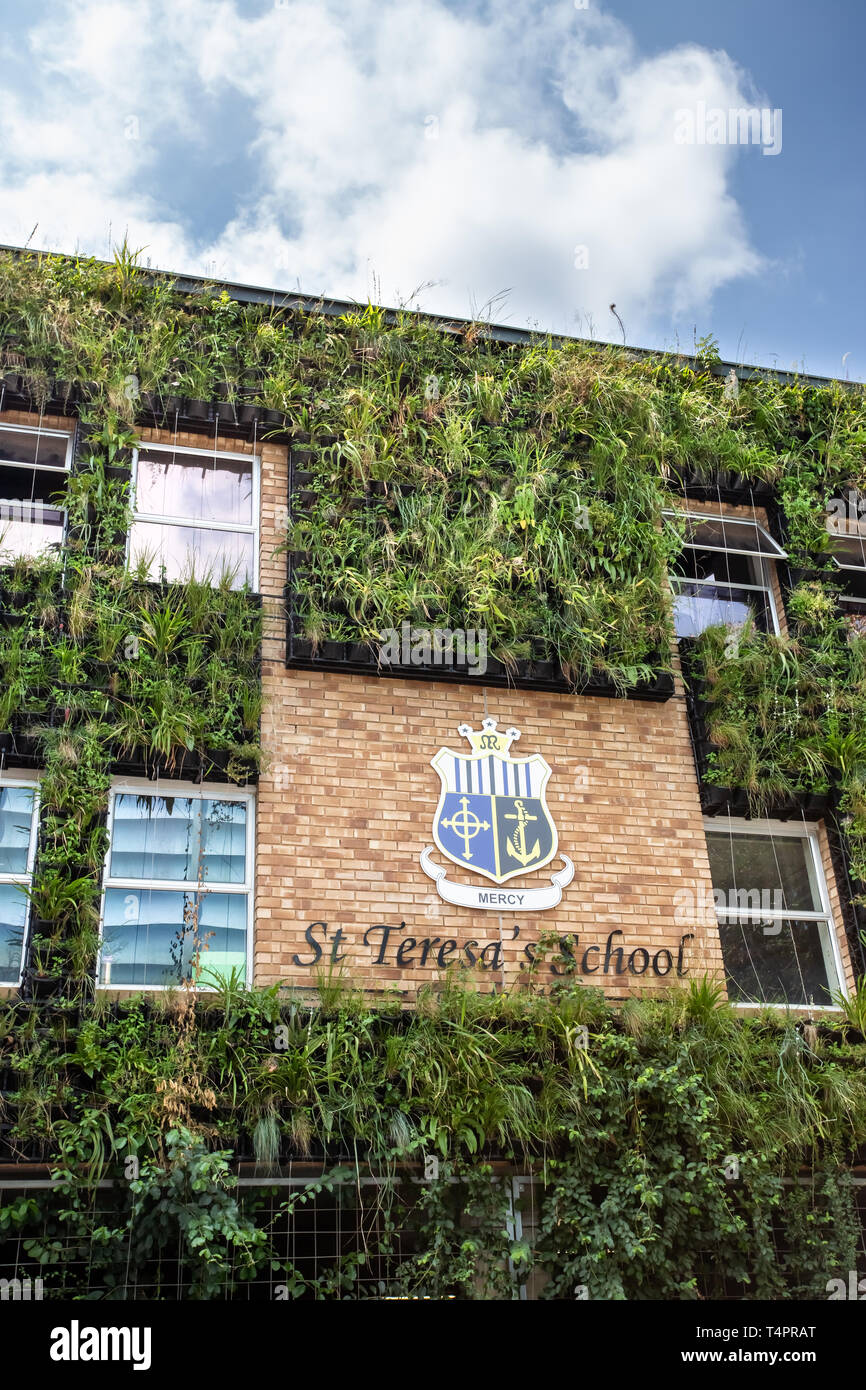Johannesburg, South Africa, 22nd March 2019 Vertical garden on wall