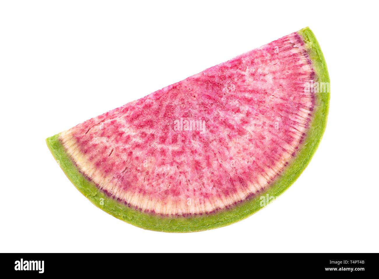 Watermelon radish closeup isolated on white background Stock Photo