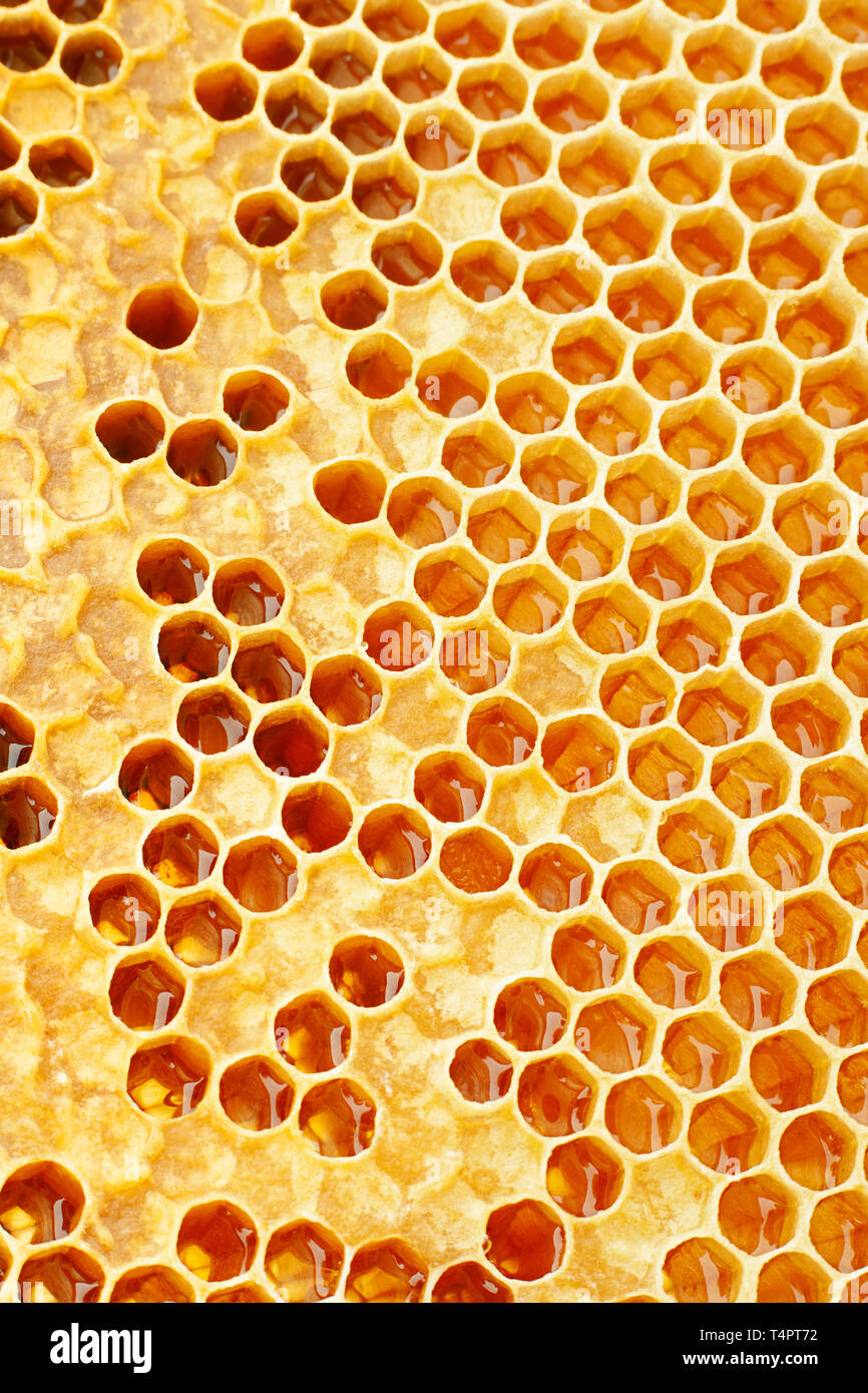 Download Yellow Honeycomb Closeup Texture Detail Horizontal Background Stock Photo Alamy PSD Mockup Templates
