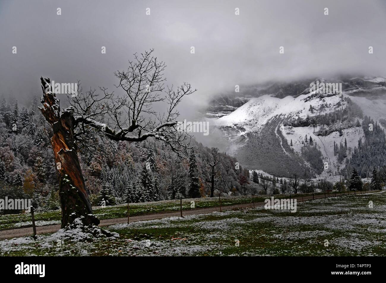 Winter, Ahornboden, Eng, Austria, Europe Stock Photo