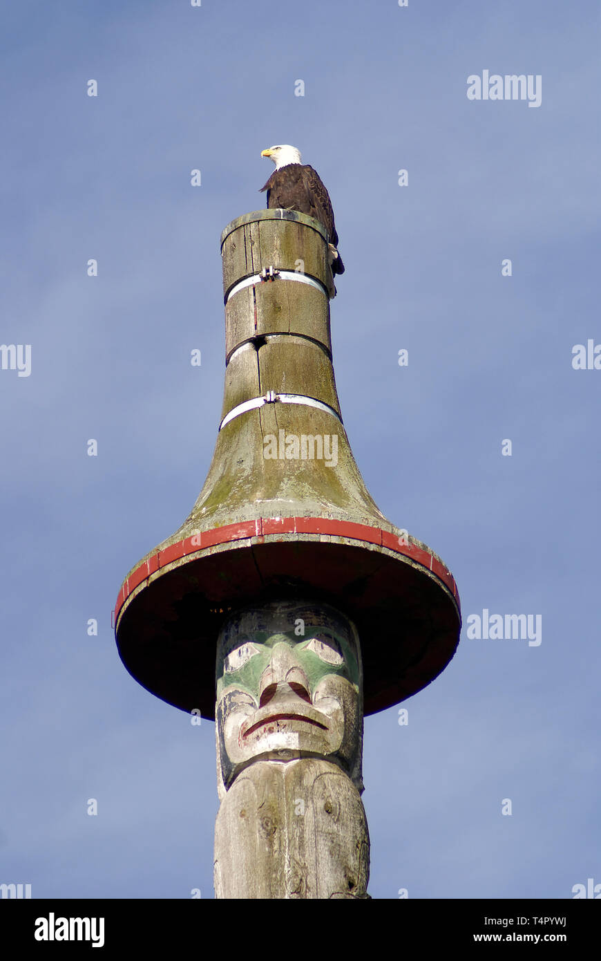 Bald eagle on top totem hires stock photography and images Alamy