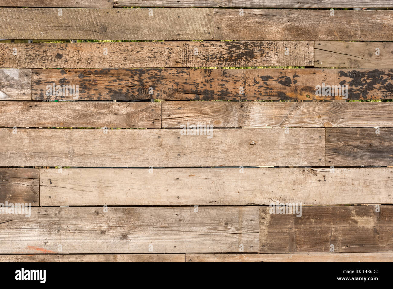 Background from wooden boards as a template Stock Photo