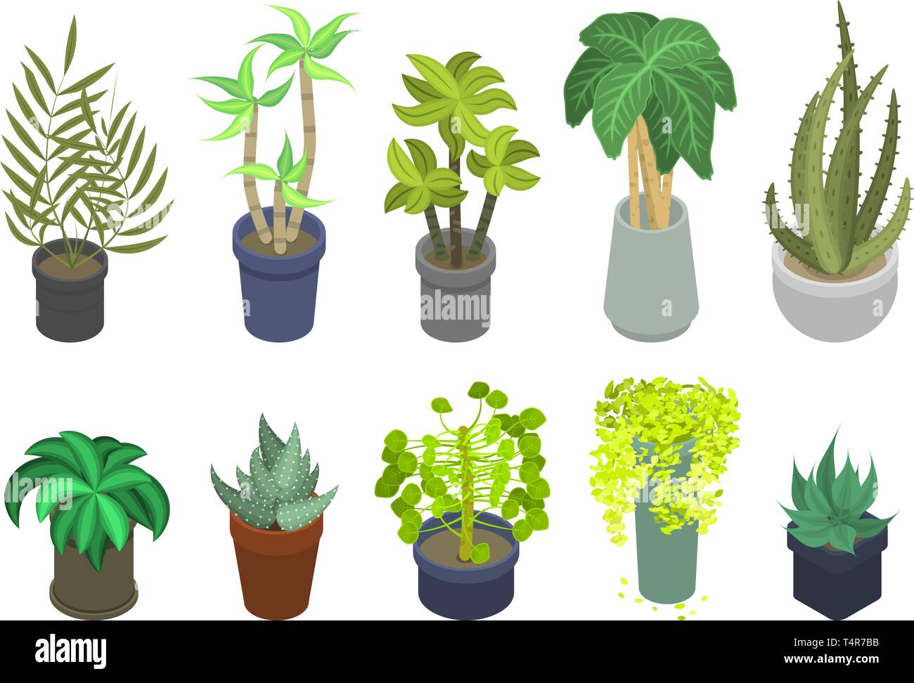 Houseplants icons set, isometric style Stock Vector