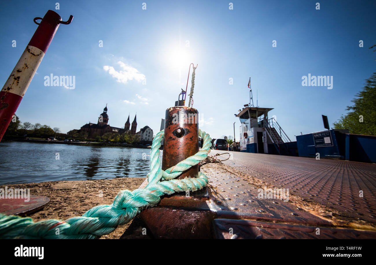 Single travel seligenstadt