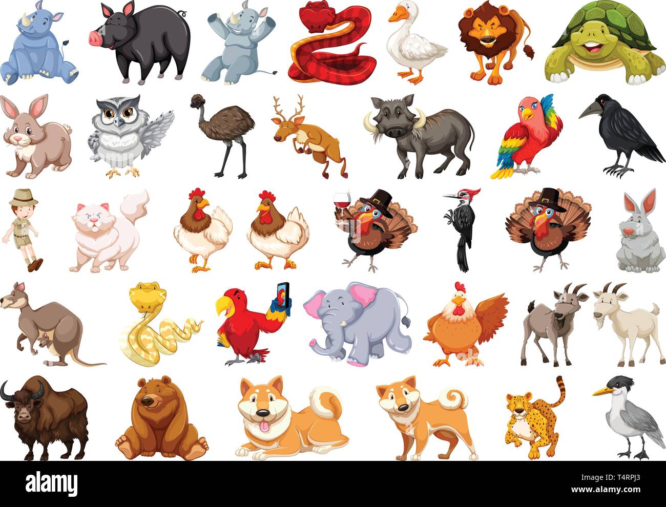 Set of wild animal illustration Stock Vector Image & Art - Alamy