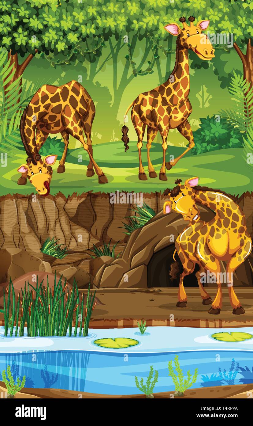 Three Giraffes In jungle illustration Stock Vector Image & Art - Alamy