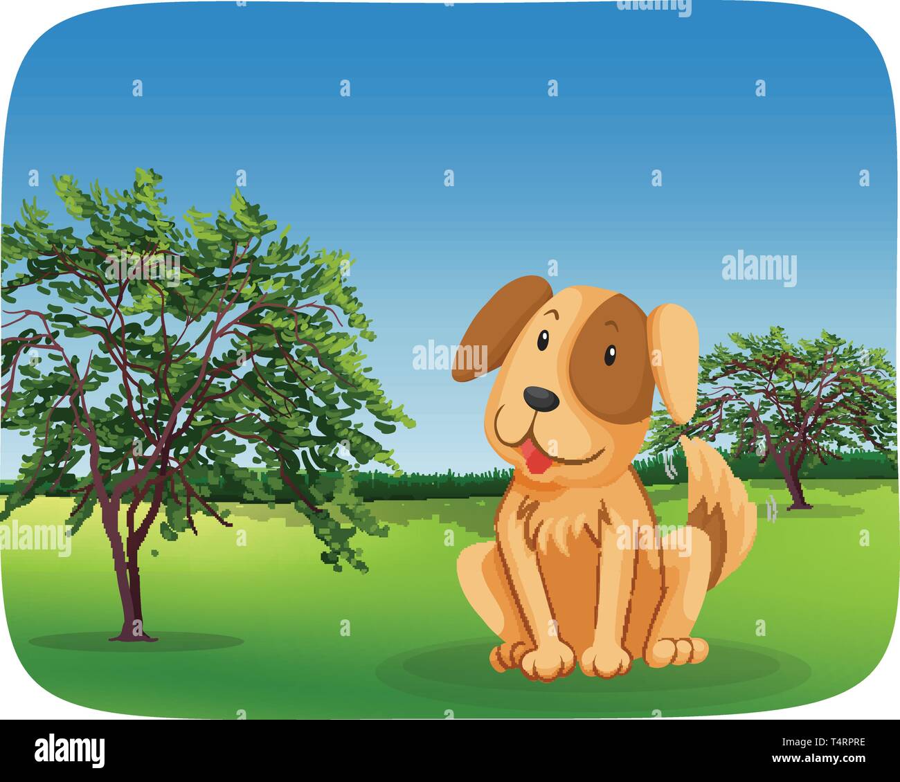 Dog sitting on grass illustration Stock Vector Image & Art Alamy