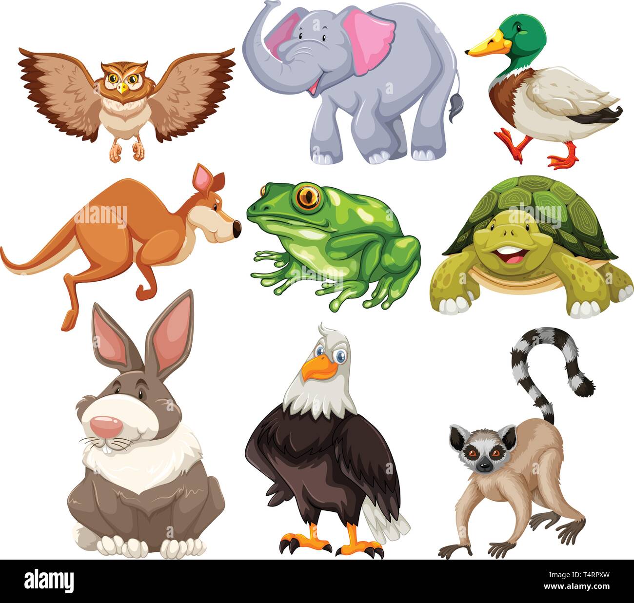 Set of wild animals illustration Stock Vector Image & Art - Alamy