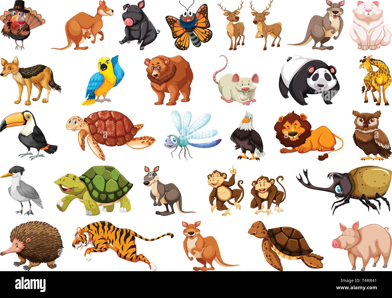 Set of wild animal illustration Stock Vector Image & Art - Alamy