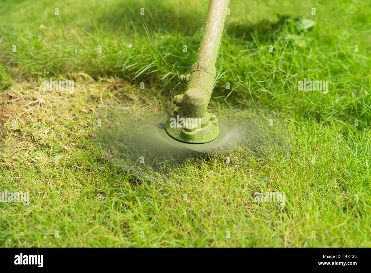 Close up of Grass brush cutter with meadow field Stock Photo