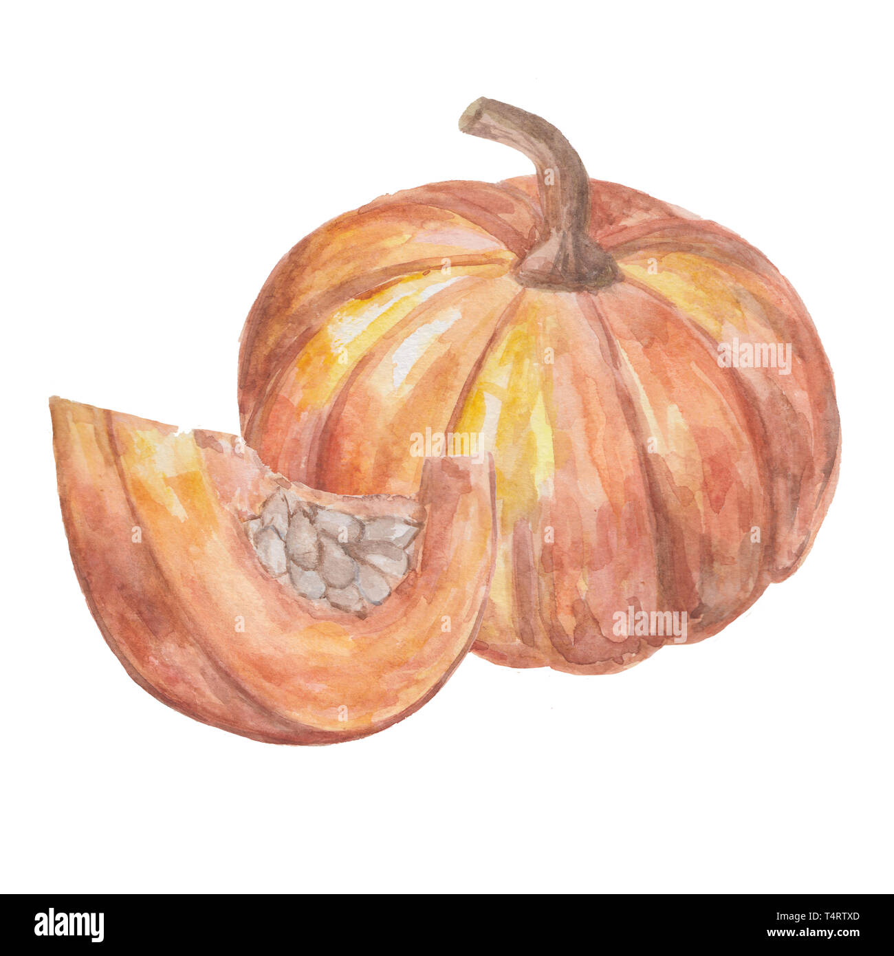Hand drawn watercolor pumpkin and piece of pumpkin isolated on white ...