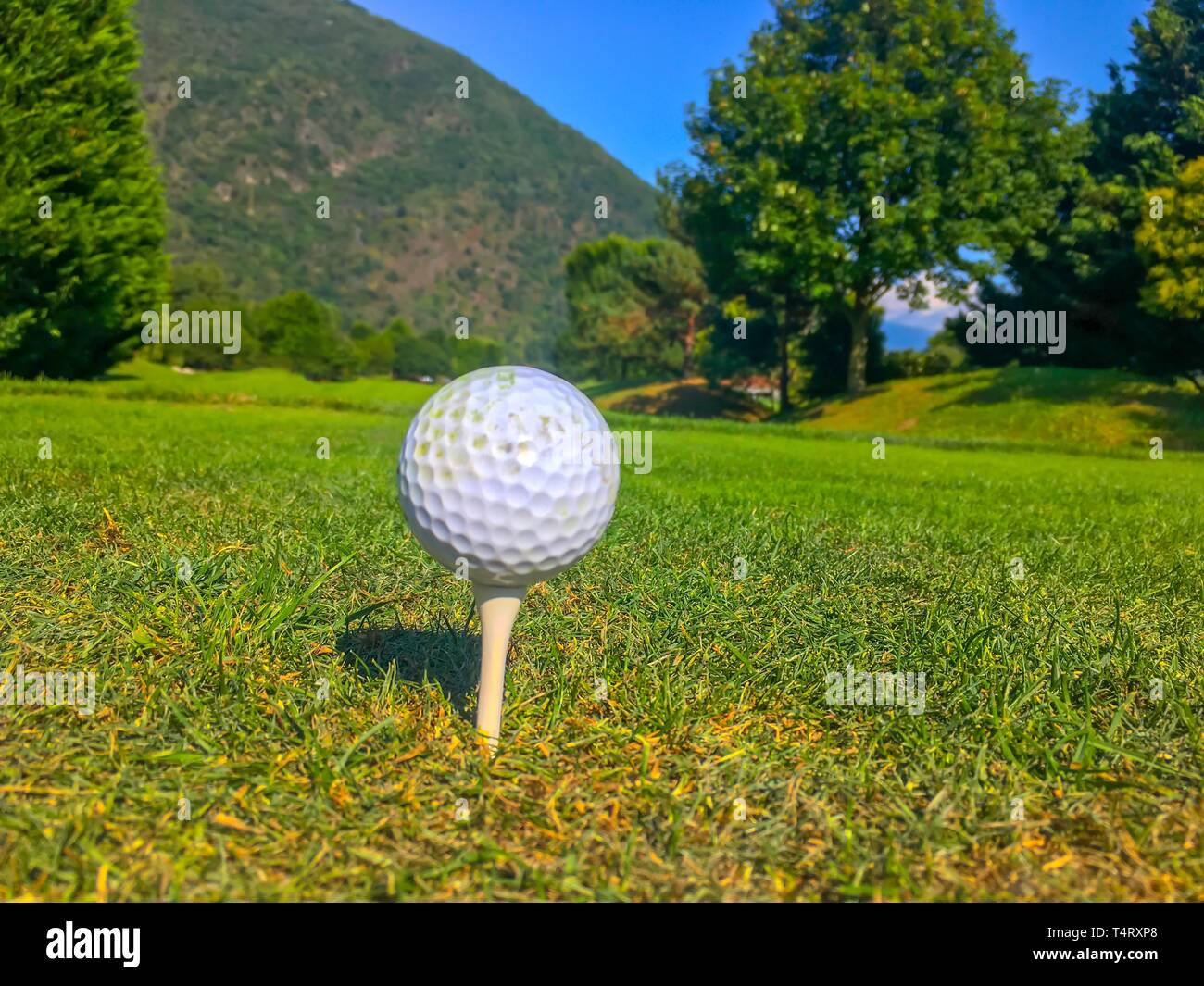 Golf Ball on Tee on the Fairway with Trees and Mountain in Switzerland  Stock Photo - Alamy
