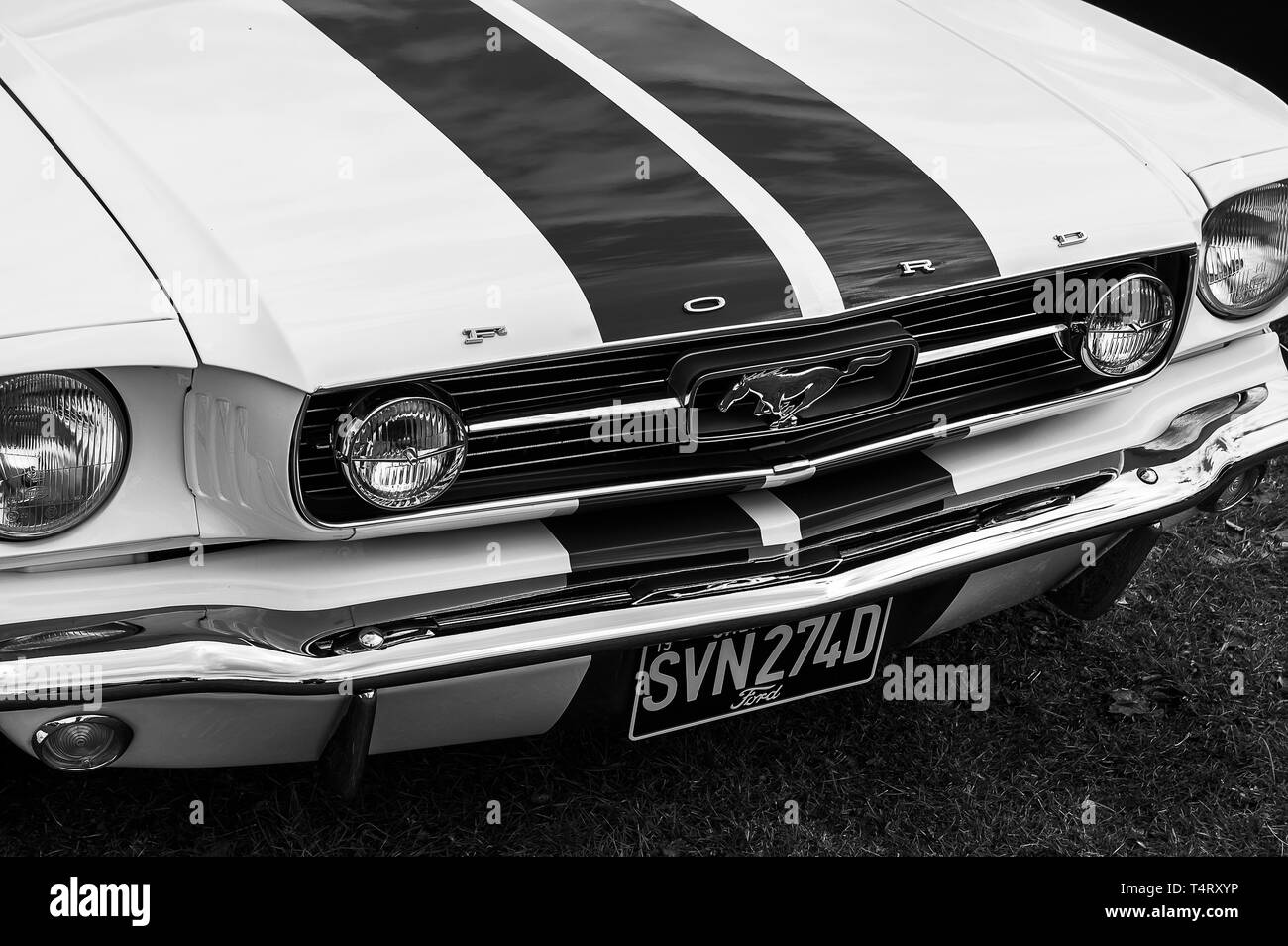 A 1966 Ford Mustang on display at a car show Stock Photo