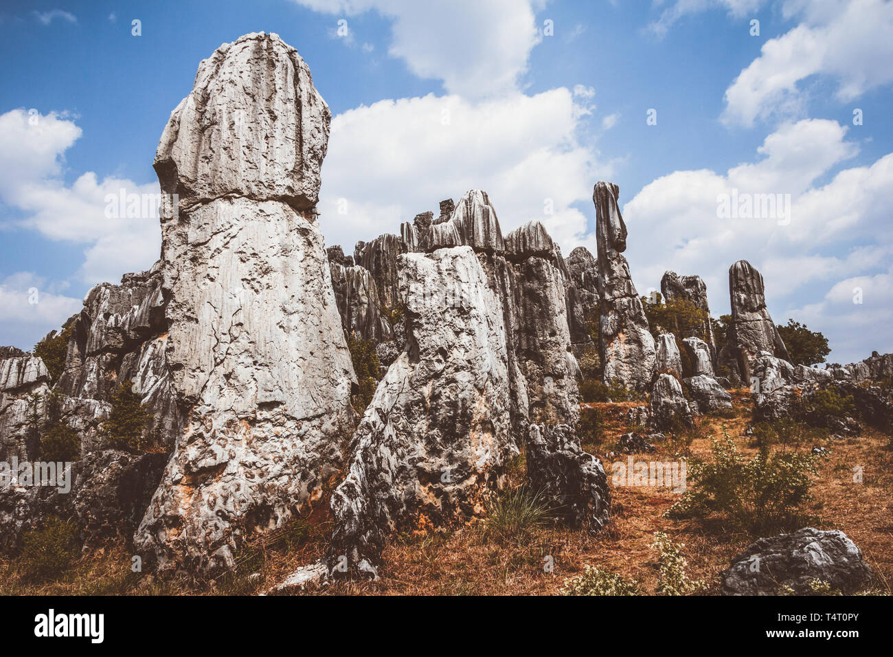 Soil forest in yunnan hi-res stock photography and images - Alamy