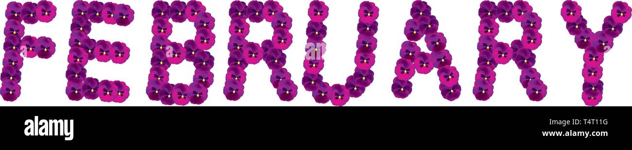 pansy flowers Stock Vector
