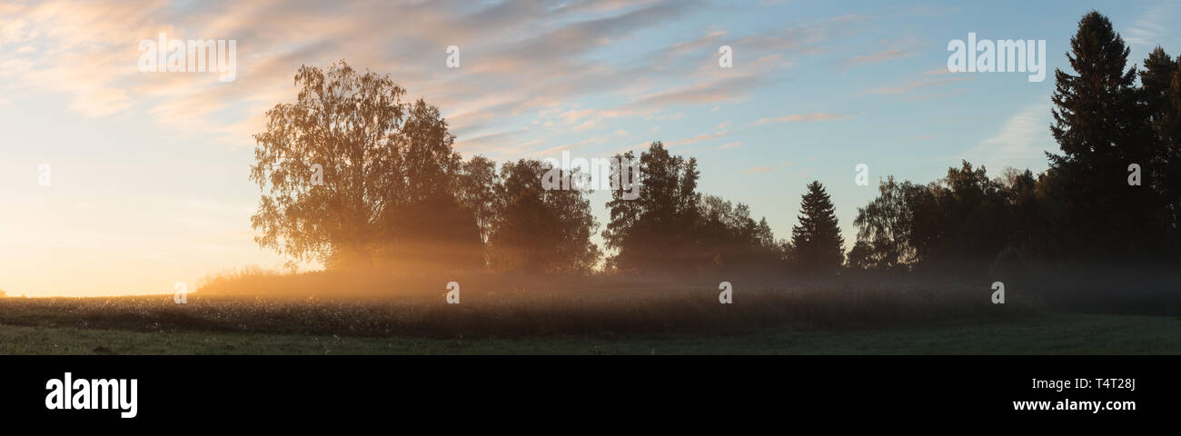 Meadow landscape with mist at dawn and sunrise light Stock Photo - Alamy