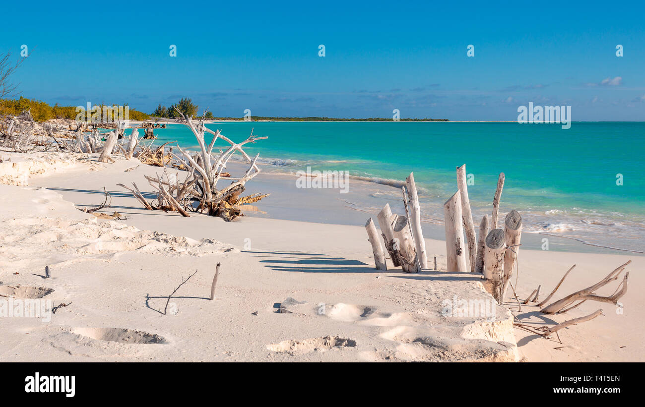 Paradise beach Cayo Largo, Cuba Stock Photo