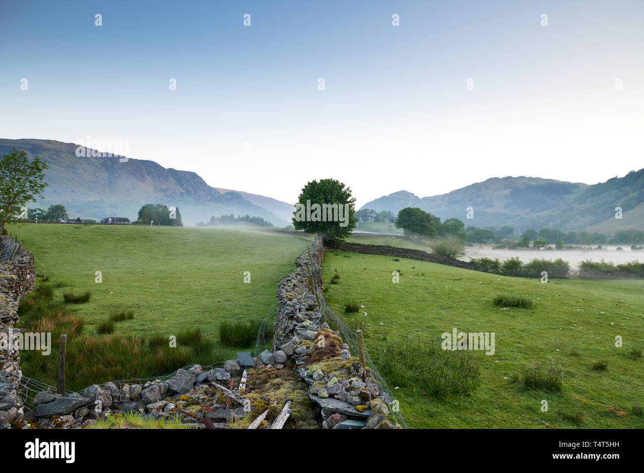 morning mist rising over the fields of Borrowdale in the Lake District Stock Photo