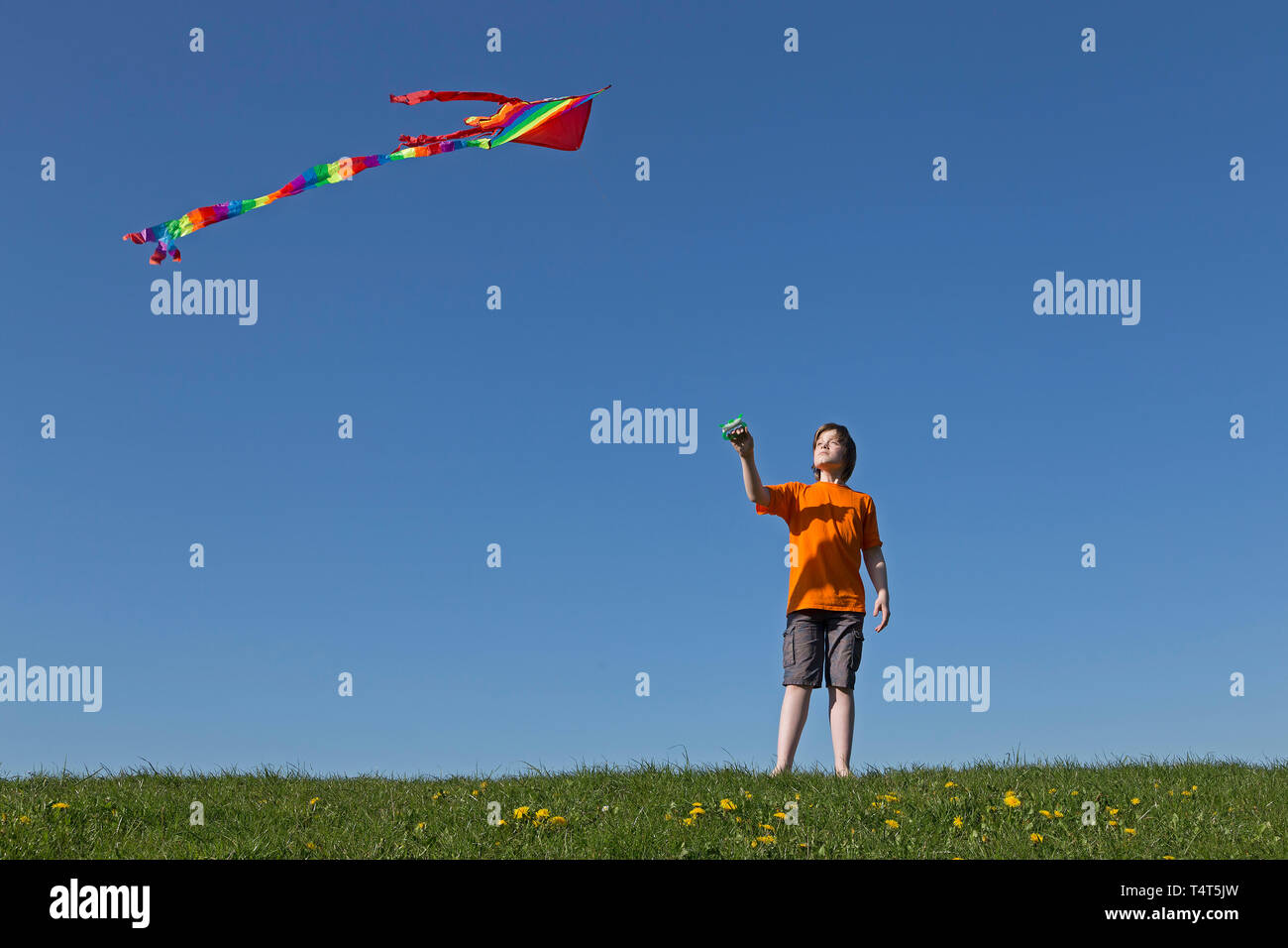 boy flying kite, Wilhelmsburg, Hamburg, Germany Stock Photo