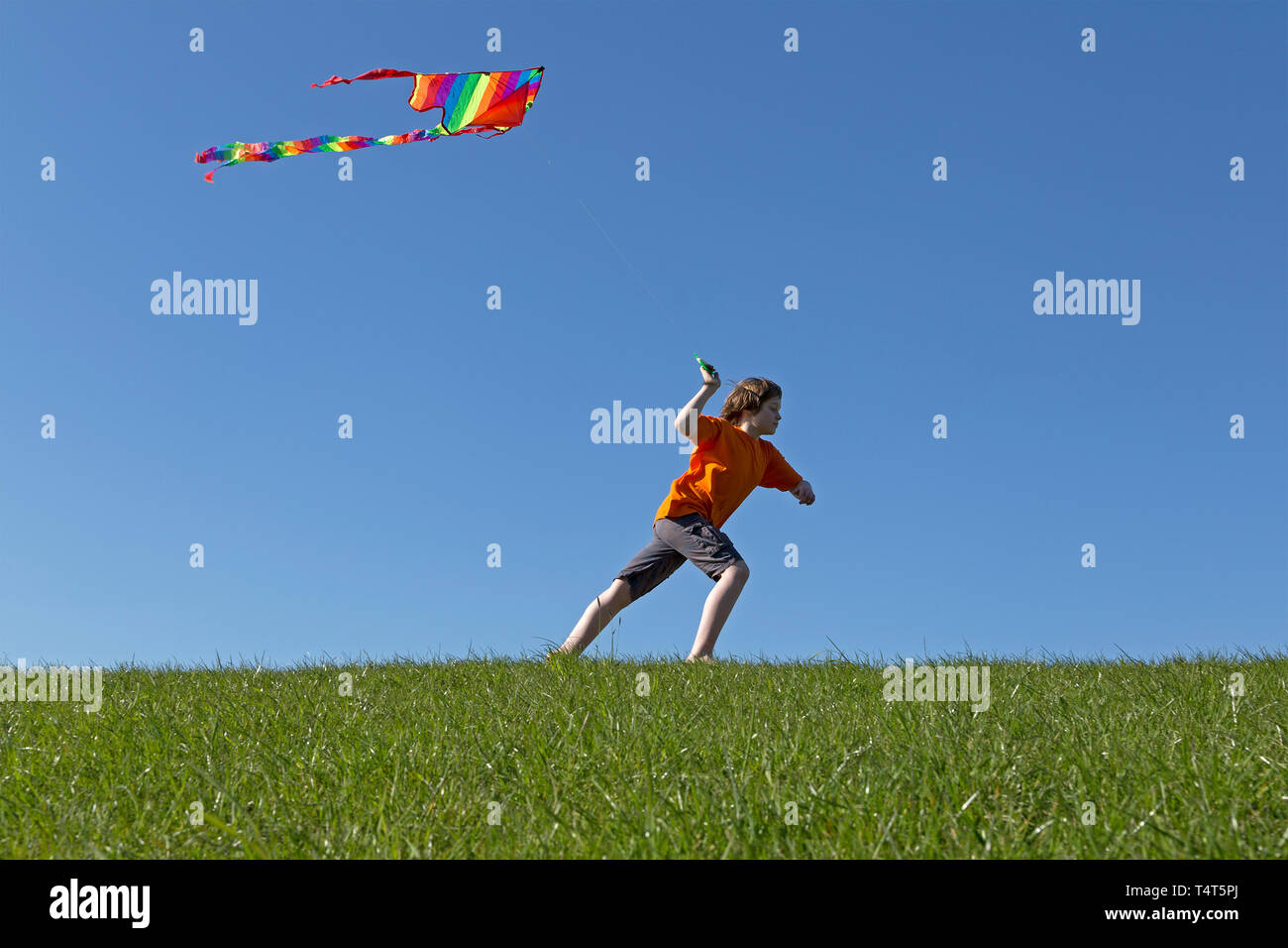 boy flying kite, Wilhelmsburg, Hamburg, Germany Stock Photo
