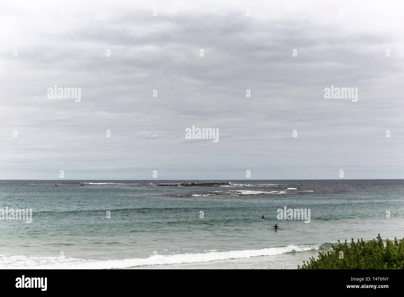 Brave surfers attempting to catch waves on overcast day. Stock Photo