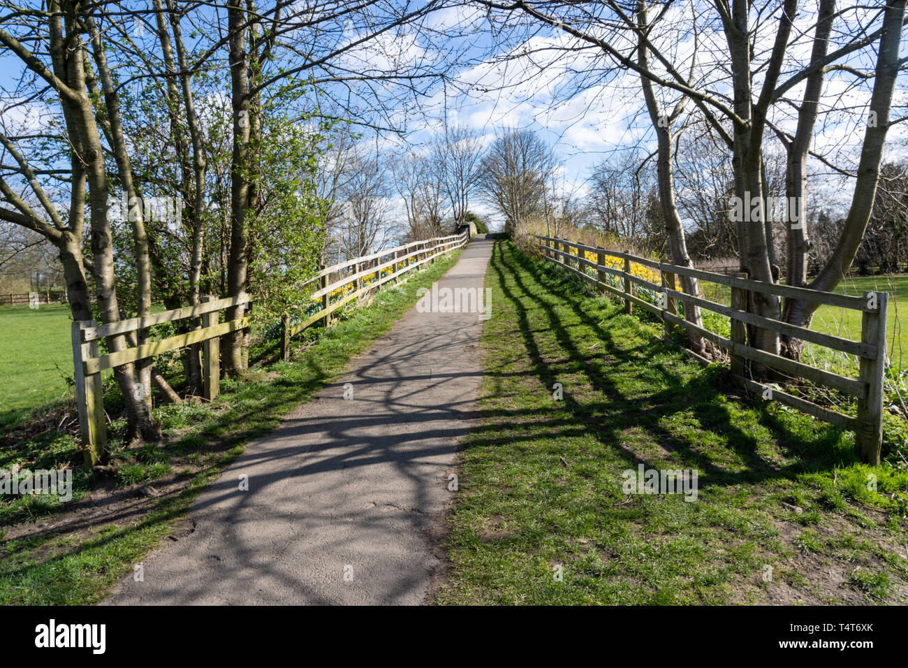 Towards a railway bridge, there is a tarmac path lined with wooden fences and trees, Harrogate, North Yorkshire, England, UK. Stock Photo
