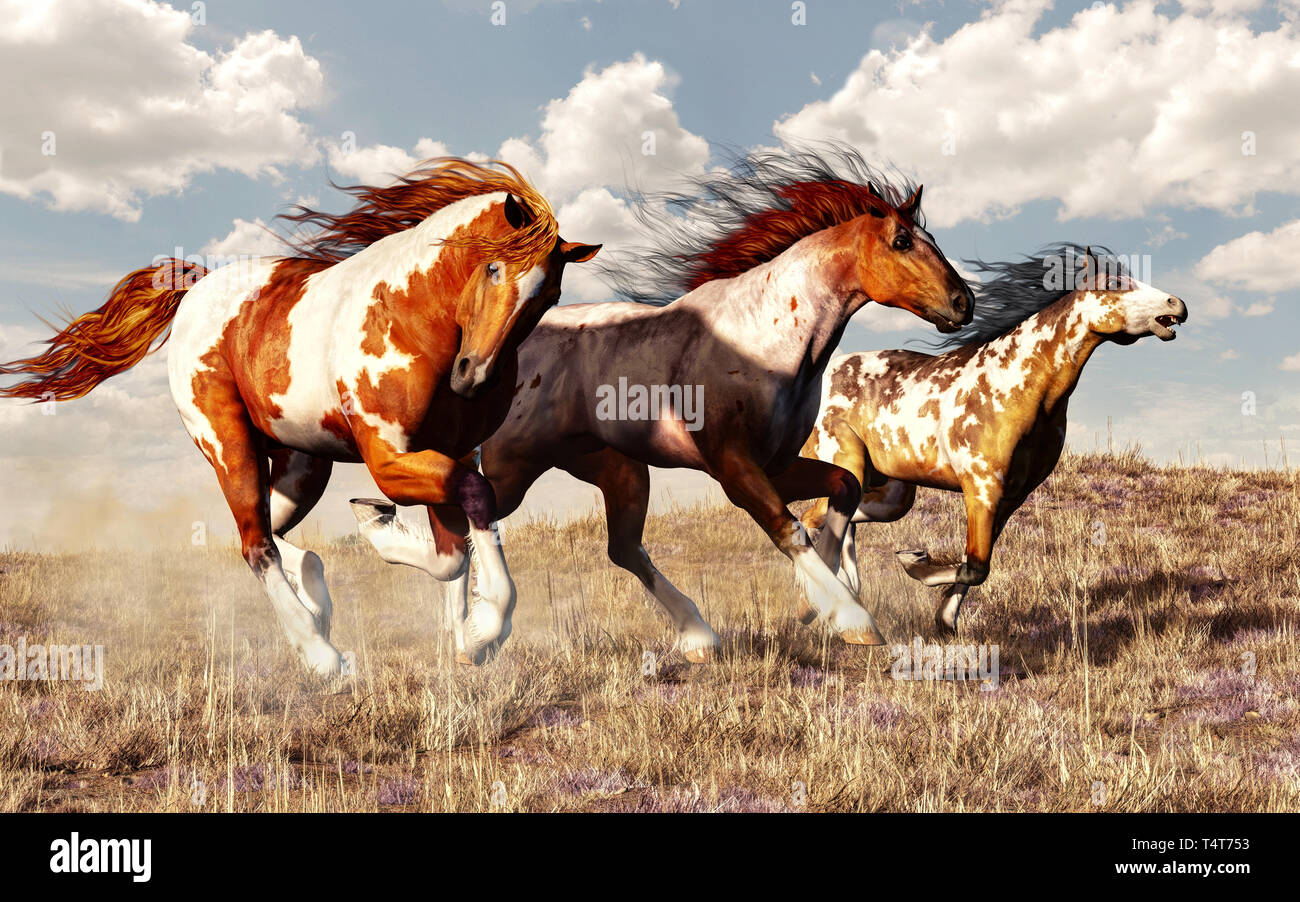 Three mustangs race across the grassy plains of the American West