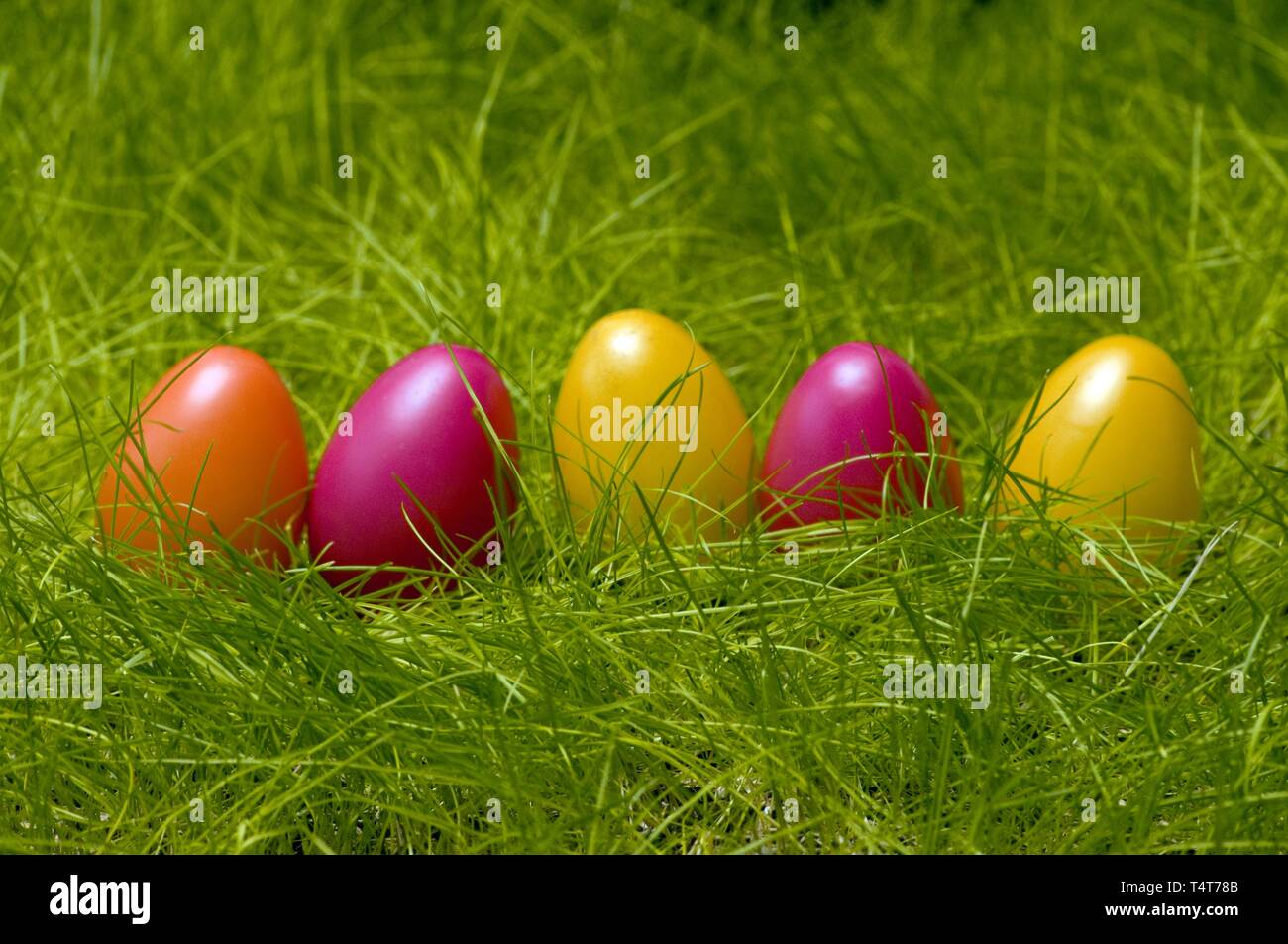 Colorful Easter eggs in the grass Stock Photo