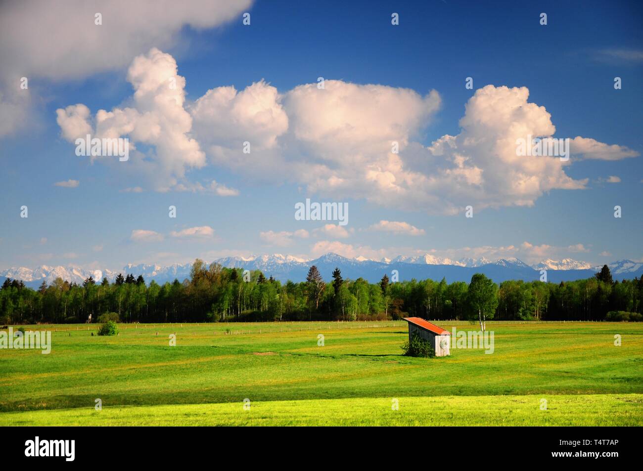 Meadows near Raisting, Upper Bavaria, Weilheim / Schongau, in the background of the Bavarian Alps, Bavaria, Germany, Europe Stock Photo