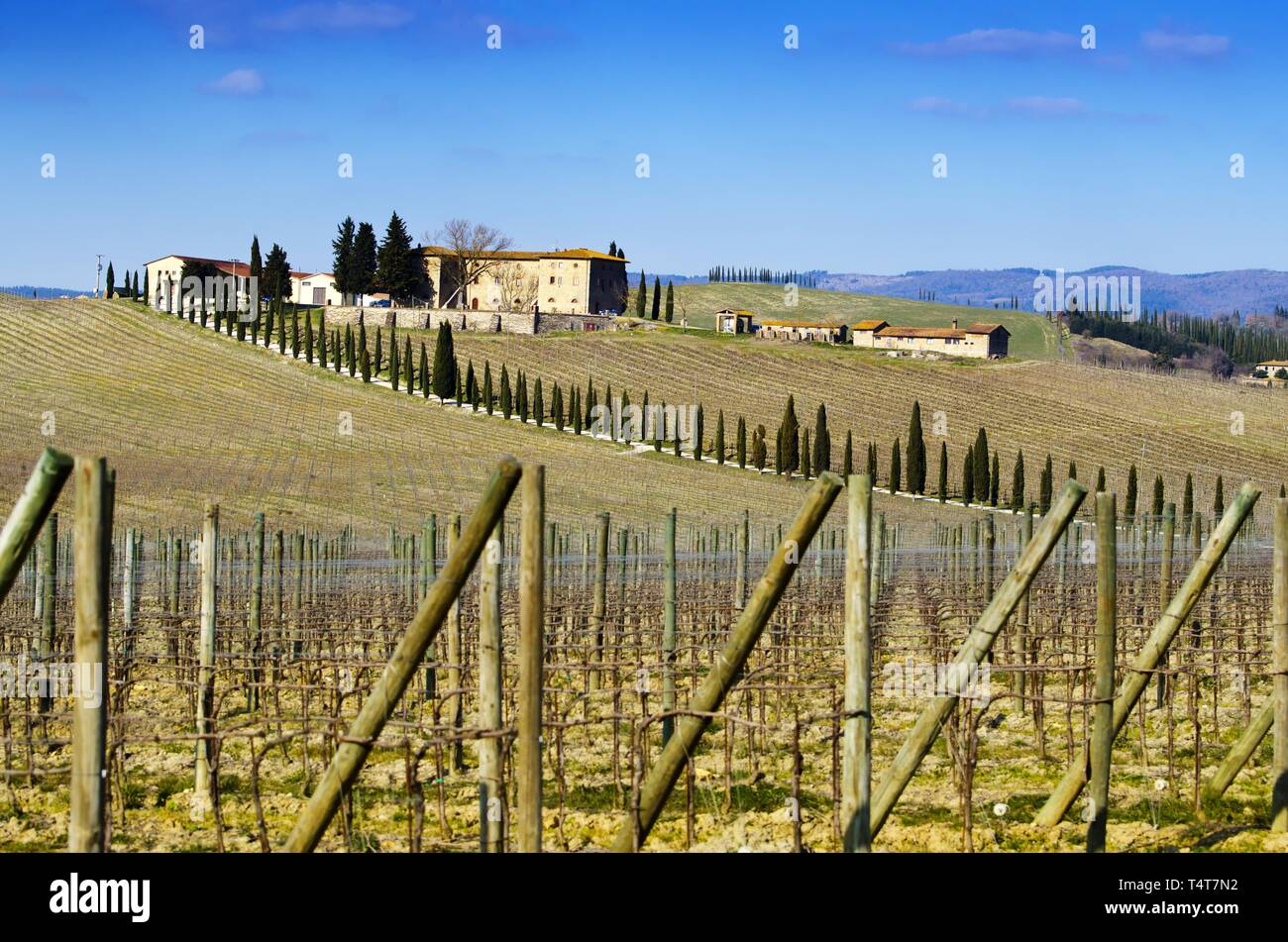 Wine yards, building, Tuscany, Italy, Europe Stock Photo