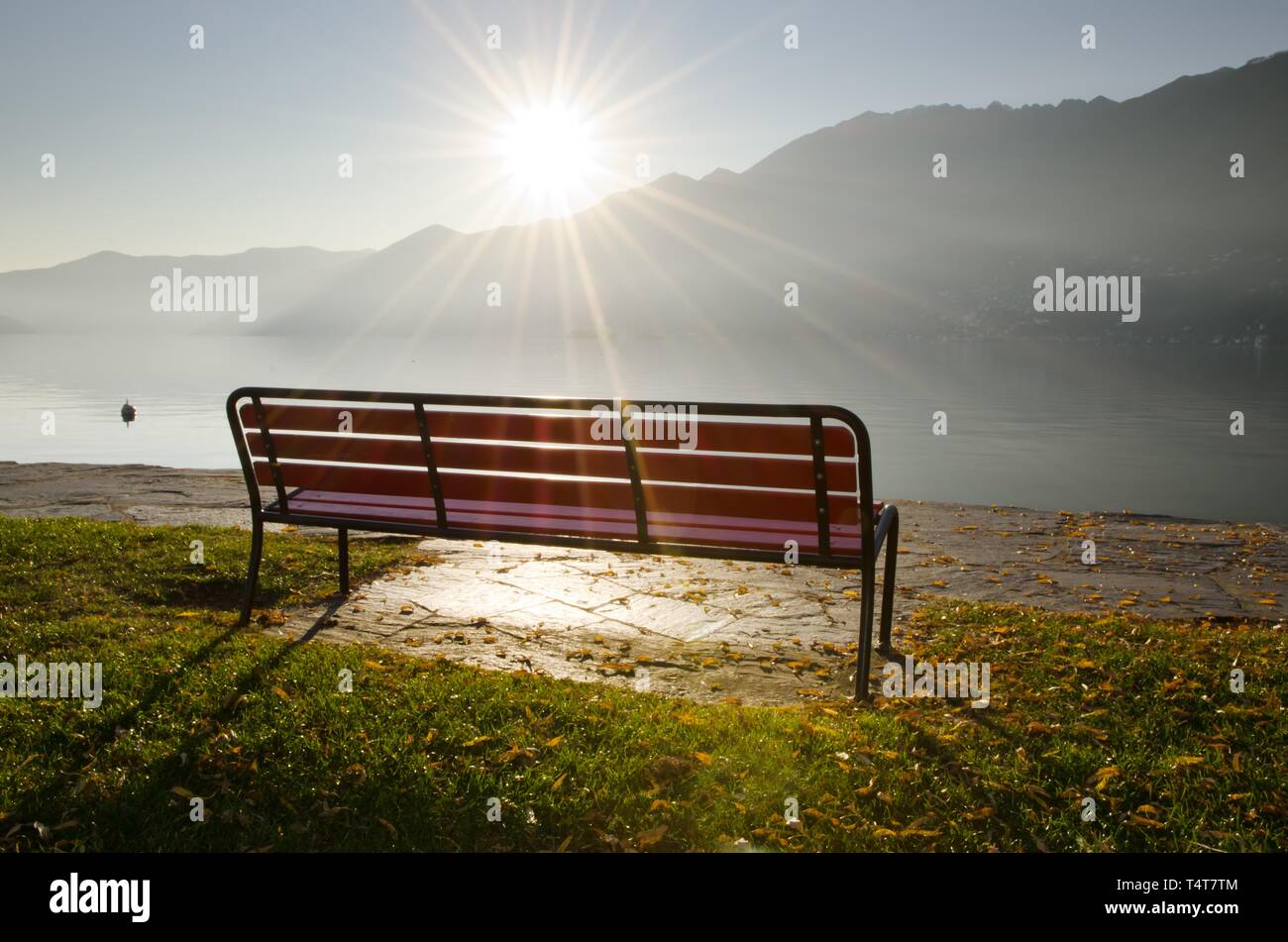 Bench in backlit with sunbeam on the foggy lake Maggiore with mountain ...