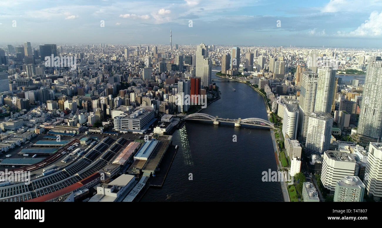 tokyo bay in aerial view Stock Photo - Alamy